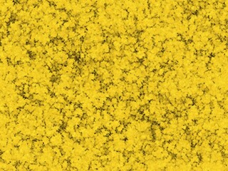 a solid, bright yellow background with a slightly textured, grainy look.