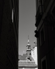 Black and White Alley View of Historic Architecture