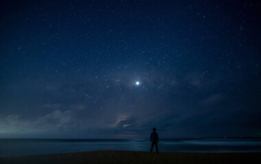 Solitude Beneath the Tranquil Night Sky