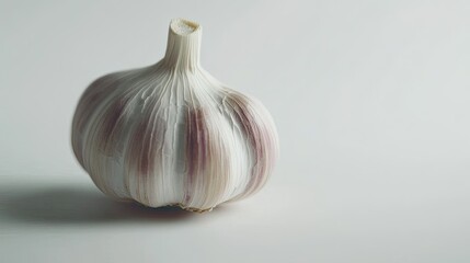 Fresh Garlic Bulb on Minimalist Background
