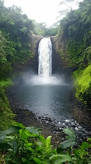 Tall waterfall cascading into a pool surrounded by lush green rainforest.
