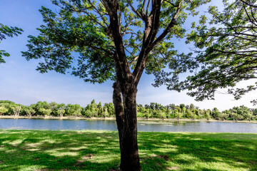 Obraz premium Green nature landscape background of rice fields, fresh air and various trees of mountains surrounding. The way of life of the farmers community who grow crops for their living.