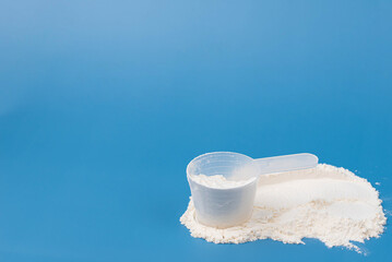 White protein powder, collagen supplement, or baby formula in measuring scoop on blue background. Concept of health, wellness, child food nutrition, fitness, skincare, and childcare. 
