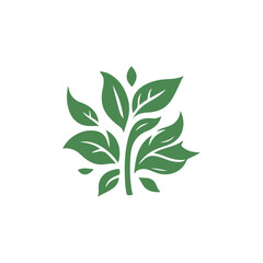 Obraz premium Leaf Design Logo