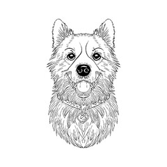 dog sketch outline hand drawing illustration