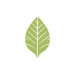 Obraz premium Leaf Design Logo