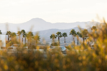 Santa Clarita, California, USA - October 24, 2024: Afternoon rush hour traffic passes on the 5 freeway through downtown Santa Clarita.
