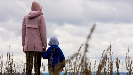 A mother and her young child enjoy together a peaceful walk through a meadow, holding hands as they observe the distant sky and surrounding nature. Family bonding. Weekend activities.