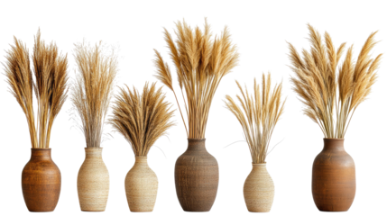 Elegant Pampas Grass Displayed in Various Vases for Home Decor Generative AI