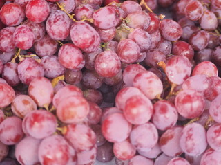red grapes close up