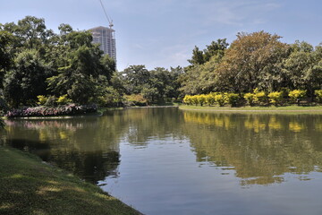 reflection in the water