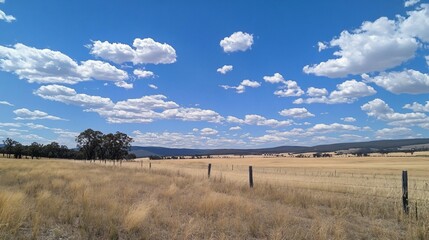 Open Field Landscape with Blue Sky and Fluffy Clouds