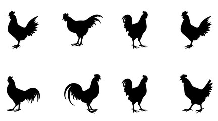  Rooster silhouette icon set, illustration. vector

