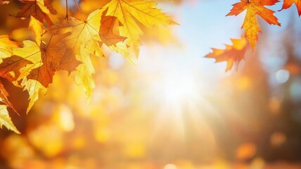Fototapeta premium Autumn background with maple leaves and bokeh,Fall blurred background, Yellow and red maple leaves are flying and falling down. Autumnal landscape.water drop on leaf,space for text.