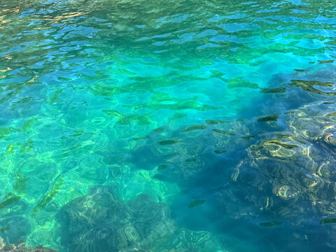 Sea crystal clear emerald blue water with algae.
