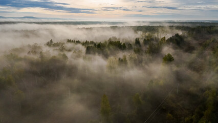 fog over the forest at dawn in autumn from the height of a drone
