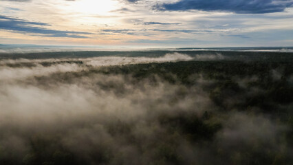 Naklejka premium fog over the forest at dawn in autumn from the height of a drone