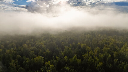 Flying above the clouds at dawn in autumn