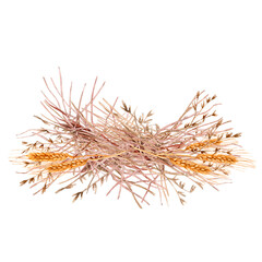 Obraz premium Hand-painted aquarelle of yellow dry Hay bunch and some spikelets