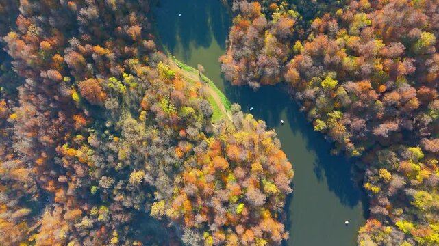 Colorful view of the autumn forest with lake. Parz Lake in Tavush, Armenia. Taken with a drone