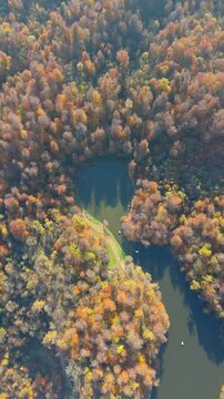 Colorful view of the autumn forest with lake. Parz Lake in Tavush, Armenia. Taken with a drone