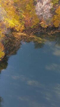 Colorful view of the autumn forest with lake. Parz Lake in Tavush, Armenia. Taken with a drone