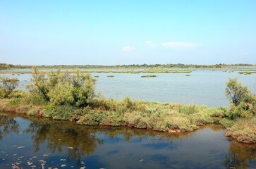 Obraz premium Venetian Lagoon near Venice Island in the place called MESOLE