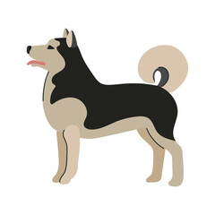Alaskan malamute icon clipart avatar logotype isolated illustration