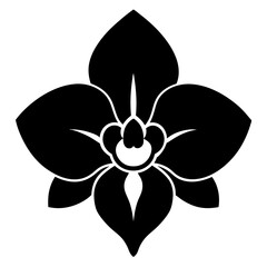 Orchid silhouette vector illustration