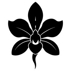 Orchid silhouette vector illustration