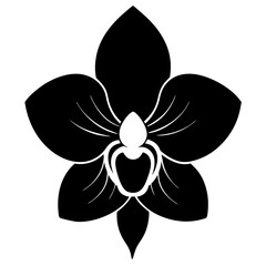 Orchid silhouette vector illustration