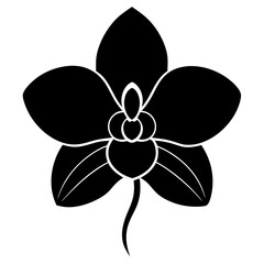 Orchid silhouette vector illustration