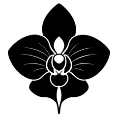Orchid silhouette vector illustration