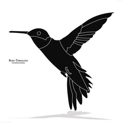 Ruby-throated hummingbird, bird, Black Ruby-throated hummingbird, icon, black bird icon