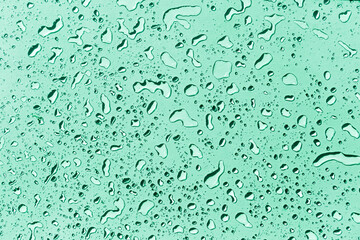 Water drops on green background, green water drops pattern background
