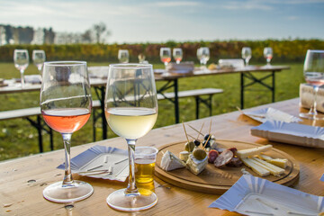 a glass of white and red wine, open party, outdoors, table, olives, snacks, refreshments