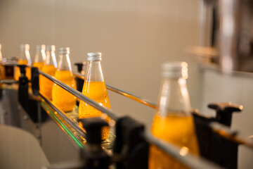 Transparent bottles move along the conveyor belt in the beverage factory filled with organic basil or chia seed drinks blended with pomegranate. Automated clean technology ensures quality liquid.