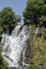Fototapeta premium Beautiful waterfall in the forest. Waterfall and beautiful nature. Tall trees, yellow flowers and waterfall. Waterfall wall art