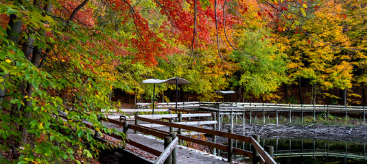 Panoramic view of scenic boardwalk trail in autumn time in Maybury state park in Michigan