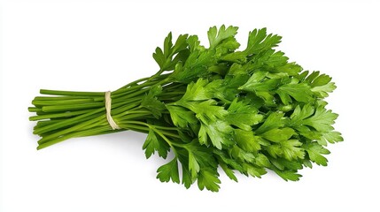 A photostock of a bunch of fresh parsley on a white background, green and isolated.