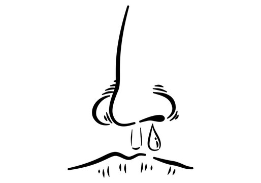 recommend clip art: A human nose with runny nose symptom in outline drawing.