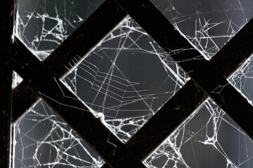 A spider web is seen through a window with a black frame
