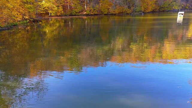 Colorful view of the autumn forest with lake. Parz Lake in Tavush, Armenia. Taken with a drone