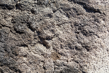 A rock with a lot of holes in it