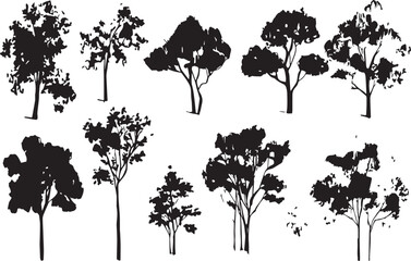 Fototapeta premium Set Trees. Hand drawn vector illustration