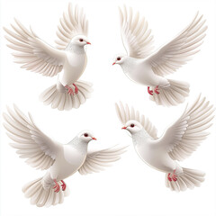 Fototapeta premium Graceful Doves in Flight Against a Clean White Background
