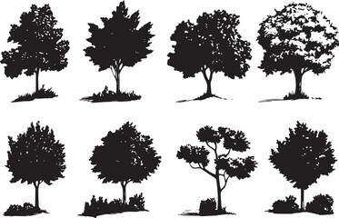 Set Trees. Hand drawn vector illustration