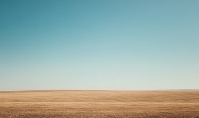 Obraz premium Vast golden field under clear blue sky, depicting dry landscape and minimalism in nature.