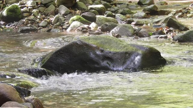 [4K] Mountain Stream with Mossy Rocks: Pure Crystal Water Flowing through Deep Forest in Aomori Japan 【4K】深山のせせらぎと苔むした岩：原生林を流れる清流と、静寂な森の空気感を捉えた癒やしの自然風景 撮影日：20240903-1
