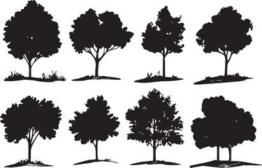 Set Trees. Hand drawn vector illustration	